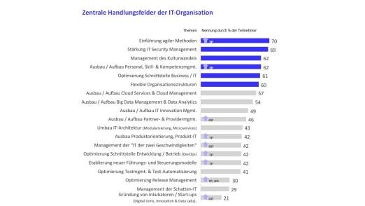 CIOs nennen viele Handlungsfelder, auf denen sie im Zuge der digitalen Transformation aktiv werden müssen. Die Kürzel bedeuten: Top Performer (TP) und Große IT-Organisationen (GO) (c) Kobaltblau