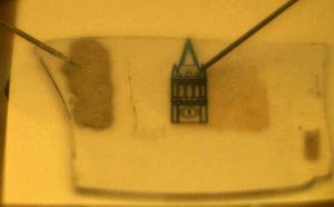 Der Monolayer-Halbleiter ist biegsam, transparent und nur drei Atome dick. (c) Javey lab/berkeley.edu