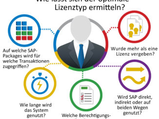 Ermittlung des Lizenztyps am Beispiel von SAP. (c) Flexera