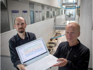 Die beiden TU Graz-Informatiker Robert Legenstein und Wolfgang Maass (v.l.) arbeiten an energieeffizienten AI-Systemen (c) Lunghammer - TU Graz