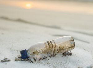 Über Plastikmüll wie dieser Plastikflasche gelangen Mikroteile aus Plastik ins Meer.