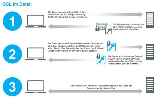 Die Grafik zeigt auf, wie der TLS/SSL-Prozess en detail funktioniert. (c) Blue Coat