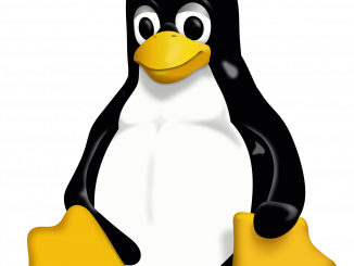 Der Pinguin Tux ist das Maskottchen von Linux.