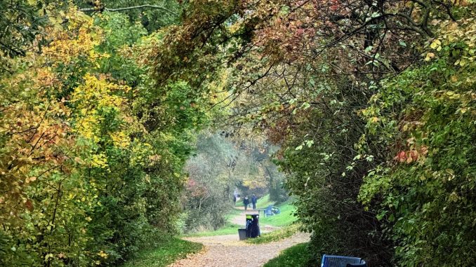 Wandern im Herbst ist besonders schön. (c) Klaus Lorbeer