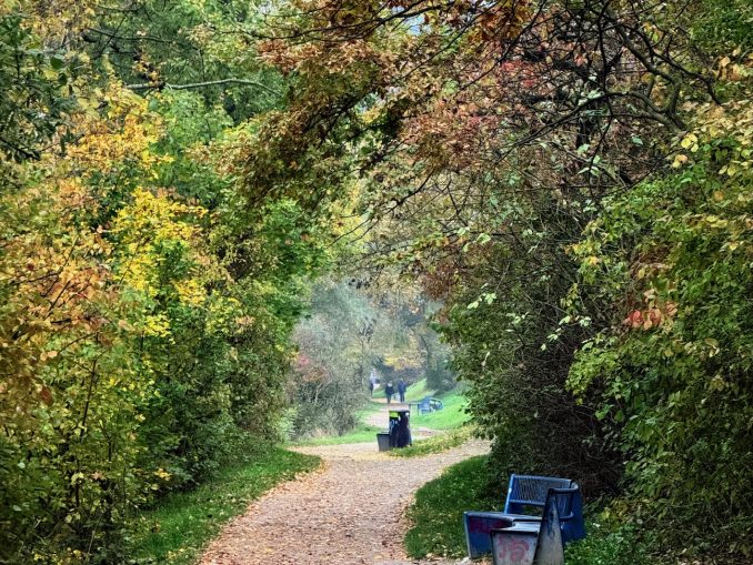 Wandern im Herbst ist besonders schön. (c) Klaus Lorbeer