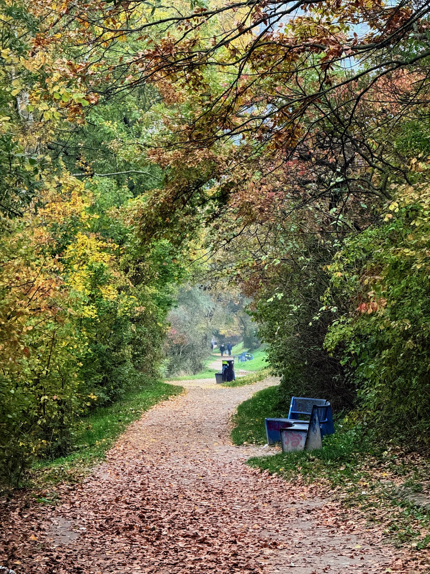 Wandern im Herbst ist besonders schön. (c) Klaus Lorbeer