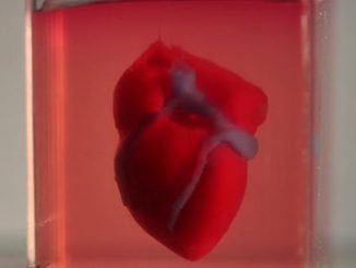 Israelische Forscher haben ein Herz aus menschlichem Gewebe in einem 3D-Drucker hergestellt. (c) Tel Aviv University