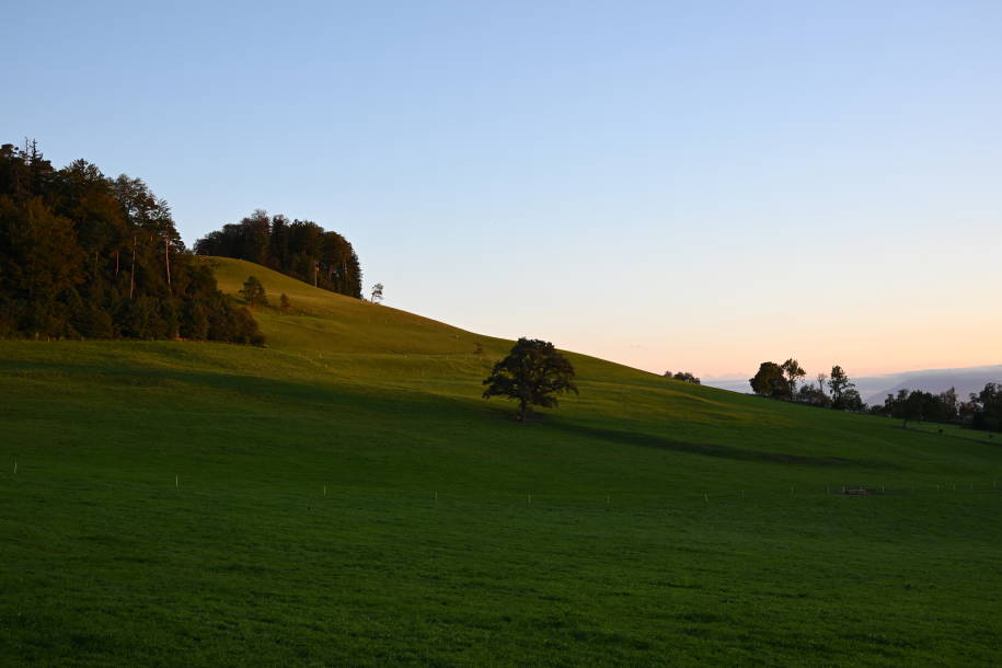 Foto einer weiten Wiese bei Sonnenuntergang aufgenommen mit der Nikon Z 8.