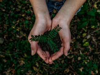 Laut PWC kann die Anwendung von KI die weltweiten Treibhausgas-Emissionen bis 2030 um vier Prozent reduzieren. (c) Unsplash