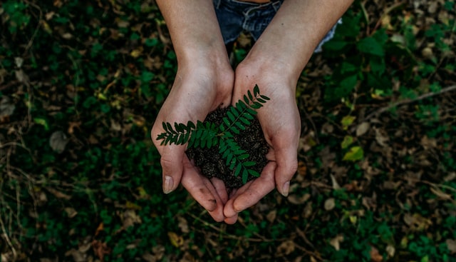 Laut PWC kann die Anwendung von KI die weltweiten Treibhausgas-Emissionen bis 2030 um vier Prozent reduzieren. (c) Unsplash